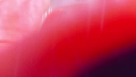 Snapshot of ariellablonde chatting on 03/10/25, 12:40 AriellaBlonde online show from 03/10/25, 12:40