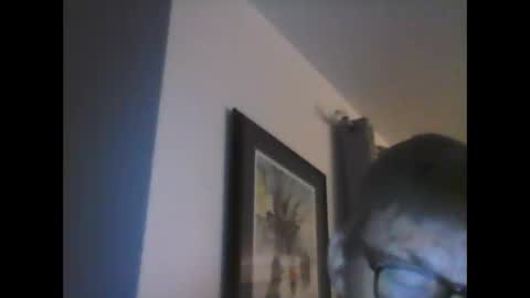 Snapshot of ariens chatting on 01/14/25, 06:45 ariens online show from 01/14/25, 06:45