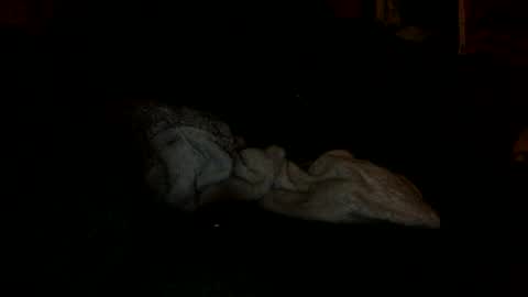 Snapshot of arley1966 chatting on 11/04/25, 02:43 arley1966 online show from 11/04/25, 02:43