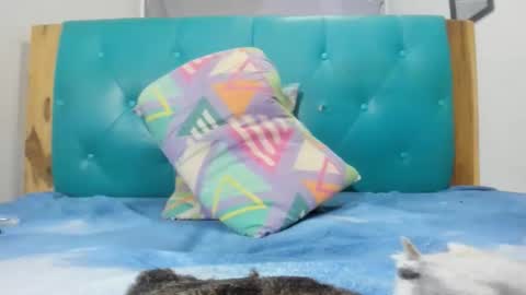 Snapshot of armanidark chatting on 09/15/25, 02:11 armanidark online show from 09/15/25, 02:11