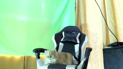 aronmiller online show from 07/21/26, 02:08