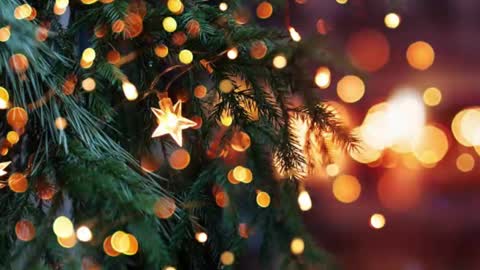 natra online show from 12/23/24, 06:16