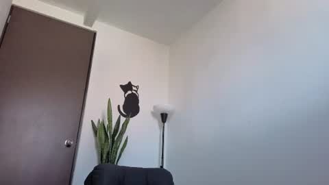   online show from 07/28/26, 01:10