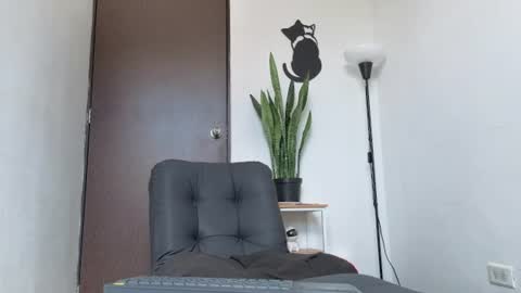   online show from 07/28/26, 04:39