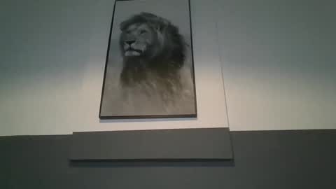 Snapshot of arthure944491 chatting on 10/29/25, 07:15 arthure944491 online show from 10/29/25, 07:15