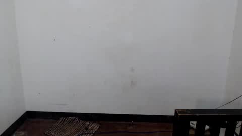 Shane online show from 12/05/25, 06:44