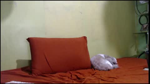 Mhay online show from 09/26/25, 05:55