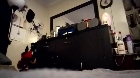 Snapshot of askme2shou chatting on 11/27/25, 09:33 askme2shou online show from 11/27/25, 09:33