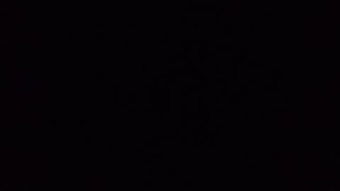 assfdanchen online show from 09/24/25, 11:08