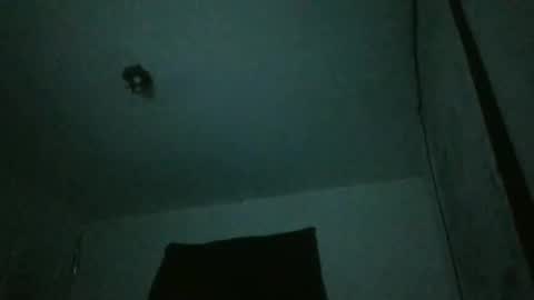 Snapshot of assilem277 chatting on 02/23/25, 07:44 danni travis online show from 02/23/25, 07:44