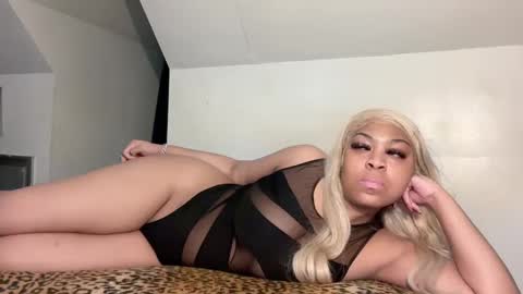aunyxxx online show from 02/19/25, 05:49