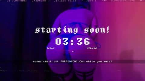 Snapshot of auragotchi chatting on 04/11/26, 09:08 Aurora Aura online show from 04/11/26, 09:08