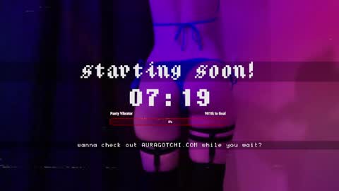 Snapshot of auragotchi chatting on 05/29/26, 04:43 Aurora Aura online show from 05/29/26, 04:43