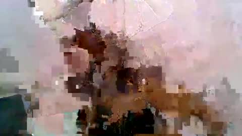 Snapshot of aurelia107 chatting on 05/31/26, 03:08 aurelia107 online show from 05/31/26, 03:08