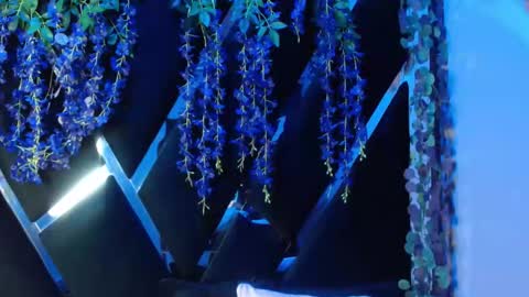 aurora online show from 09/18/25, 02:19