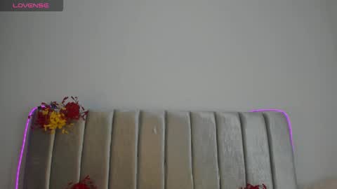 A U R O R A online show from 11/29/25, 04:26