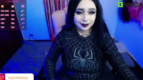Aurora online show from 12/04/24, 03:04