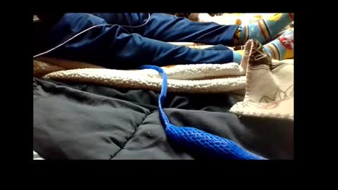 Senior Agua online show from 12/04/24, 04:38