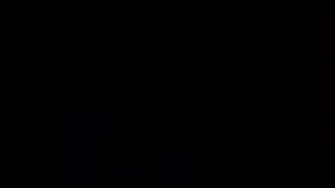 Pluke online show from 01/11/25, 09:04