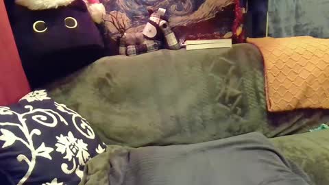 raven blue online show from 12/11/24, 05:48