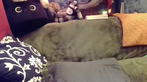raven blue online show from 12/12/24, 05:42