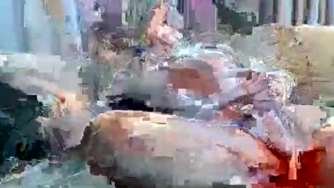 averagejoe2025 online show from 11/18/25, 01:22