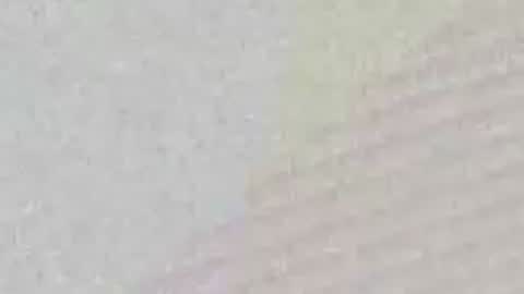 avgjoe555 online show from 06/29/26, 02:17