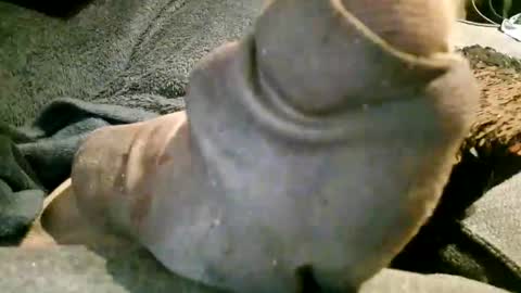 Axelle online show from 11/07/25, 10:21