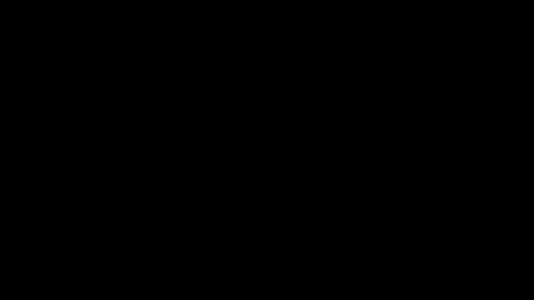 Ayden Miller online show from 12/02/24, 06:52