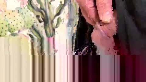 AZDUDEXXX online show from 11/25/25, 04:23