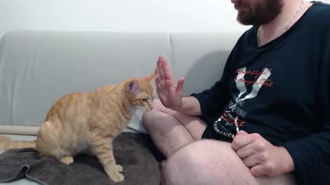 Azer online show from 11/28/25, 10:56