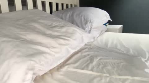 b1gd0ng1111 online show from 09/17/25, 09:44