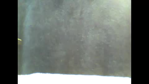 Snapshot of b1gg9inch chatting on 01/20/25, 11:02 b1gg9inch online show from 01/20/25, 11:02