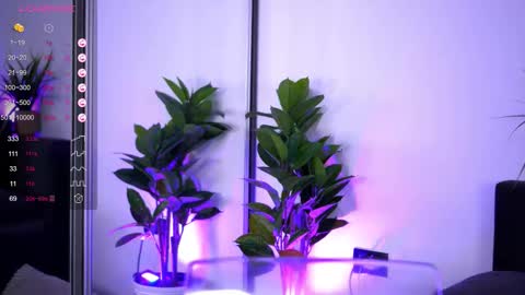 Inna online show from 12/16/25, 04:28