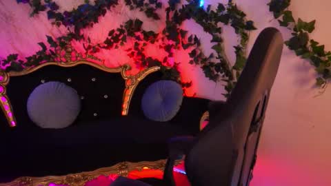 Babe online show from 10/29/25, 08:16