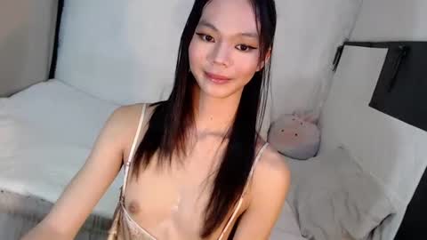 MIKAY HADID online show from 06/12/26, 09:03