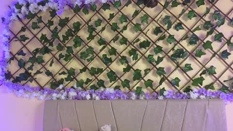  Dani  online show from 12/19/24, 02:45