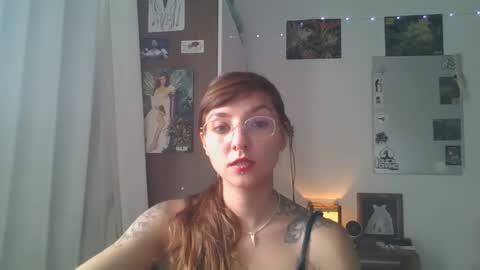 Snapshot of babydemon6 chatting on 12/23/24, 05:54 babydemon6 online show from 12/23/24, 05:54