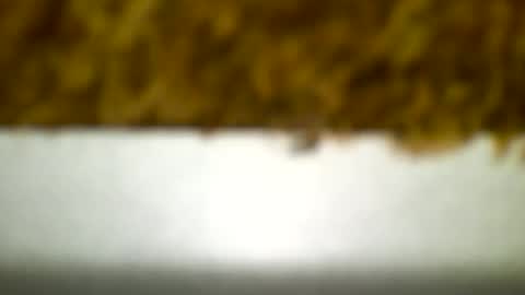 Snapshot of bagalan chatting on 12/19/24, 04:23 Carlos online show from 12/19/24, 04:23