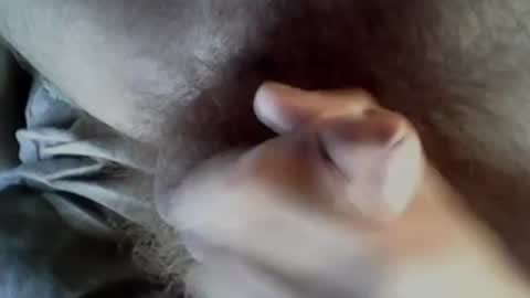 Baghira online show from 09/27/25, 08:30