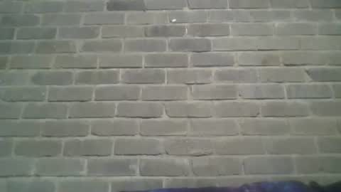 Snapshot of baielekker81578 chatting on 01/05/25, 02:41 Chaterlain online show from 01/05/25, 02:41