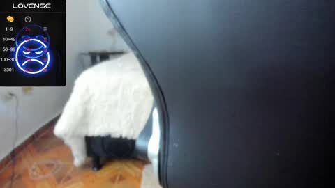 IM BAILEY online show from 02/17/25, 05:47