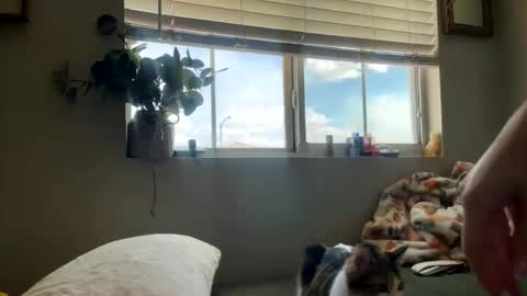 Snapshot of bambi_rae02 chatting on 05/05/26, 10:07 Bambi online show from 05/05/26, 10:07