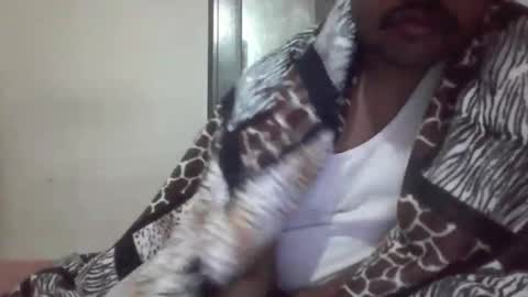 Snapshot of banda1212 chatting on 12/14/25, 03:28 banda1212 online show from 12/14/25, 03:28