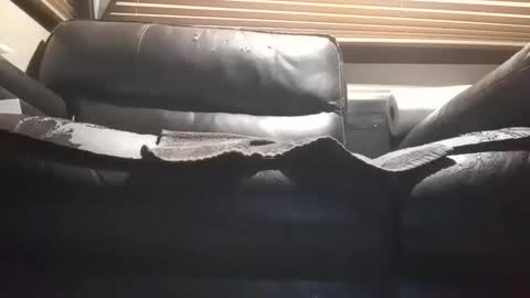 baobabtree10 online show from 10/28/25, 12:09