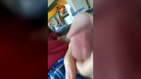 barbitall online show from 07/17/26, 02:56