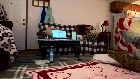 barelybehavedbarbie online show from 04/23/26, 07:52