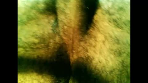 Snapshot of bayfall chatting on 12/14/24, 10:28 bayfall online show from 12/14/24, 10:28