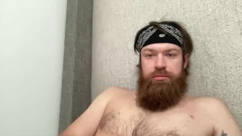 bd_energy_drink online show from 05/16/26, 03:44