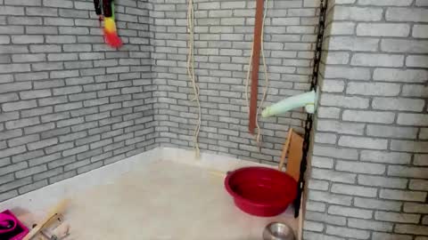 Snapshot of bdsm_meduza chatting on 11/17/25, 02:34 Meduza online show from 11/17/25, 02:34